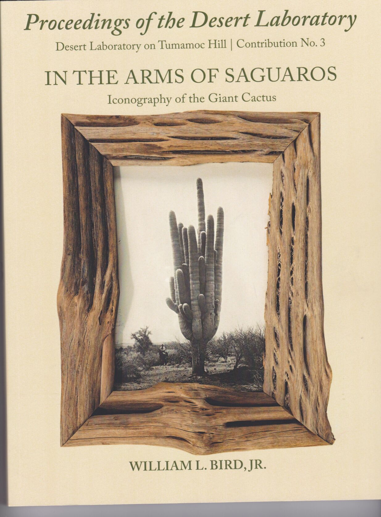 "In the Arms of Saguaros"